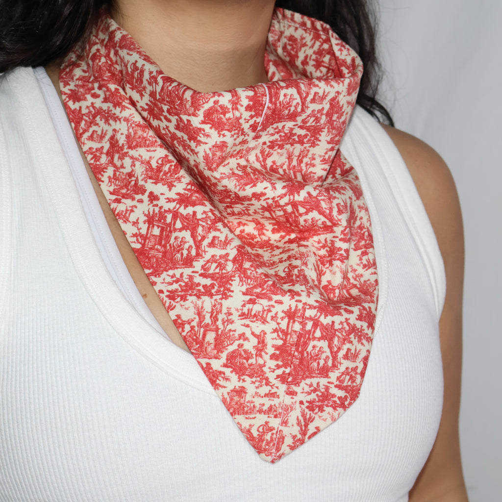 Red Mini Toile